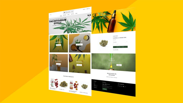 Website Design