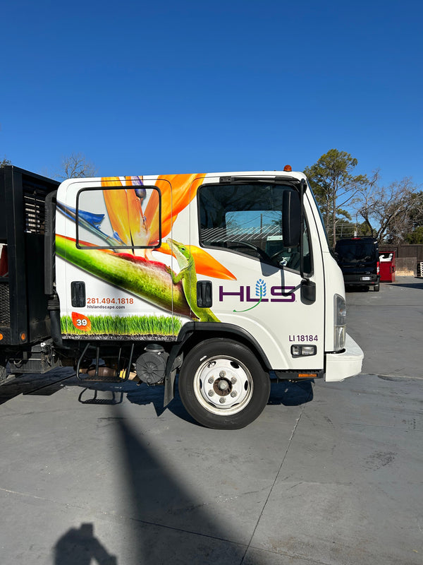 Car Wraps (Commercial Print & Custom Colors)