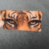 Lenticular 3D Cards - Morph Effect