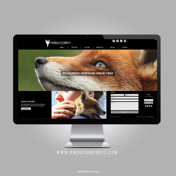 Website Design