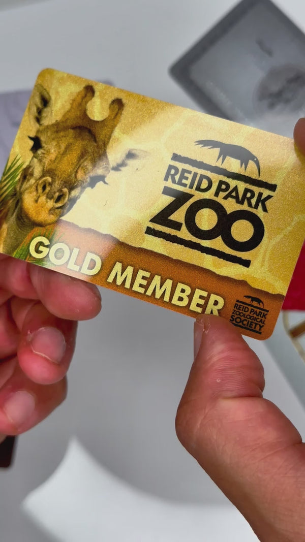 Plastic Cards