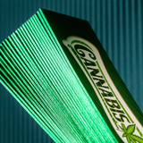 Color Edge Business Cards